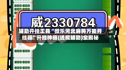 辅助开挂工具“微乐河北麻将万能开挂器”开挂神器{透视辅助}全揭秘-第2张图片