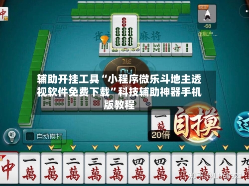 辅助开挂工具“小程序微乐斗地主透视软件免费下载”科技辅助神器手机版教程-第2张图片