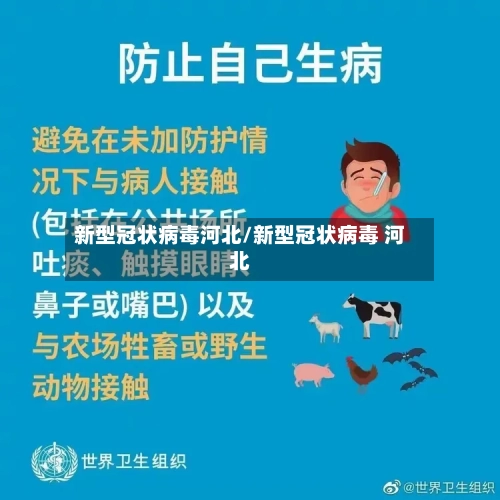新型冠状病毒河北/新型冠状病毒 河北-第3张图片