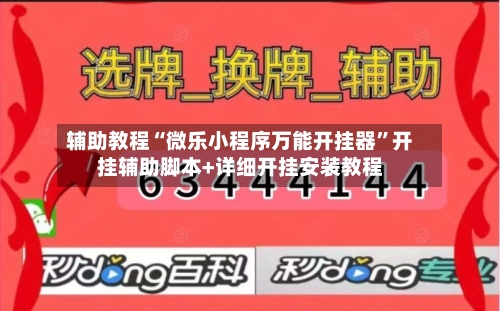 辅助教程“微乐小程序万能开挂器”开挂辅助脚本+详细开挂安装教程-第2张图片