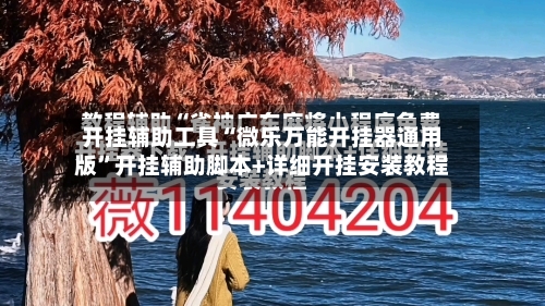 开挂辅助工具“微乐万能开挂器通用版”开挂辅助脚本+详细开挂安装教程-第3张图片