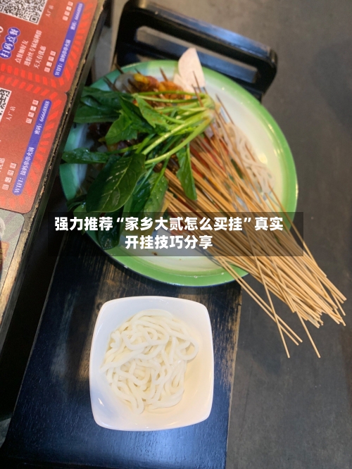 强力推荐“家乡大贰怎么买挂”真实开挂技巧分享-第3张图片