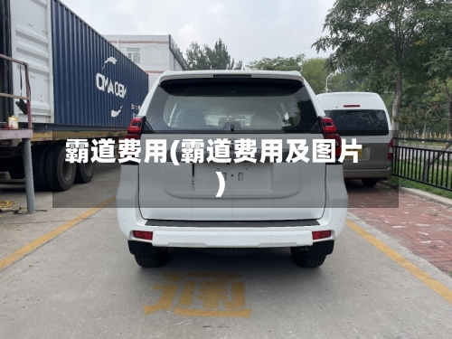 霸道费用(霸道费用及图片)-第2张图片