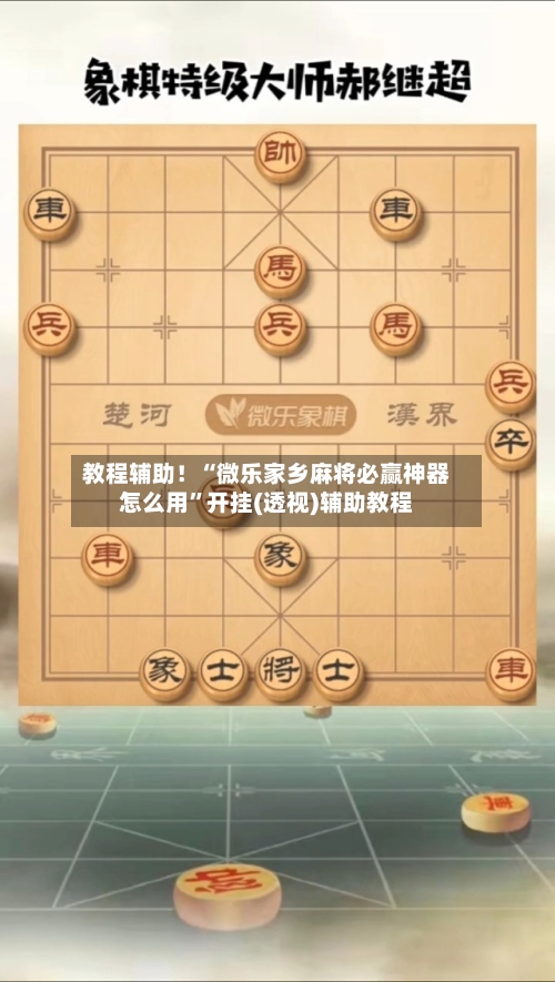 教程辅助！“微乐家乡麻将必赢神器怎么用	”开挂(透视)辅助教程-第2张图片