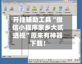 开挂辅助工具“微信小程序家乡大贰透视”原来有神器下载！-第2张图片