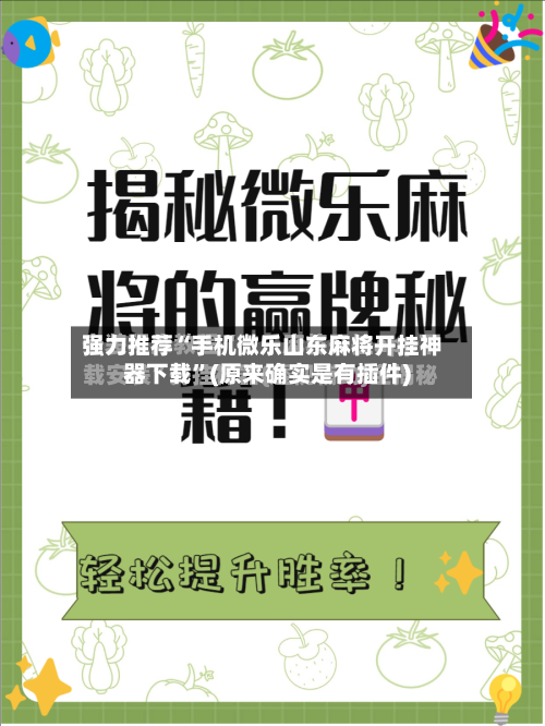 强力推荐“手机微乐山东麻将开挂神器下载”(原来确实是有插件)