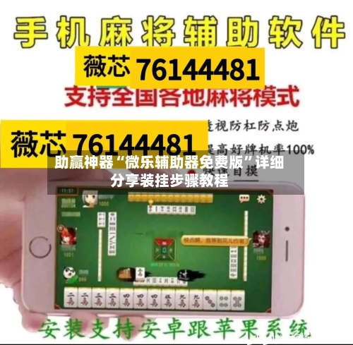 助赢神器“微乐辅助器免费版”详细分享装挂步骤教程-第2张图片