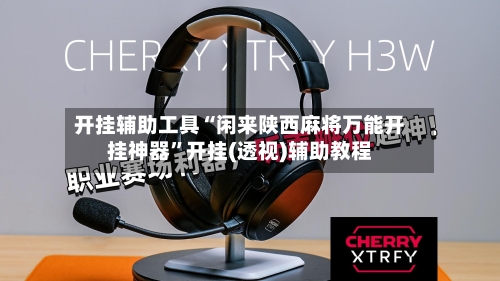 开挂辅助工具“闲来陕西麻将万能开挂神器”开挂(透视)辅助教程-第3张图片