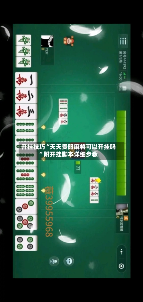 开挂技巧“天天贵阳麻将可以开挂吗”附开挂脚本详细步骤-第2张图片