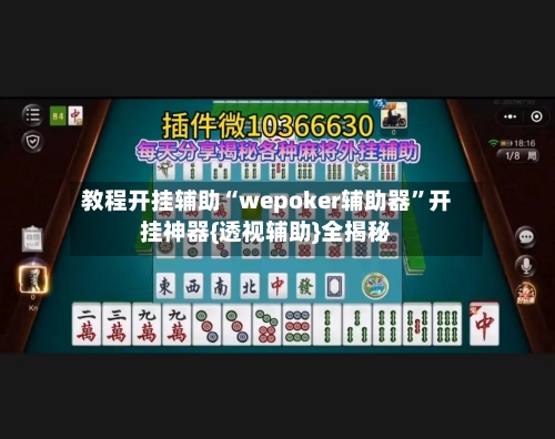 教程开挂辅助“wepoker辅助器”开挂神器{透视辅助}全揭秘-第3张图片