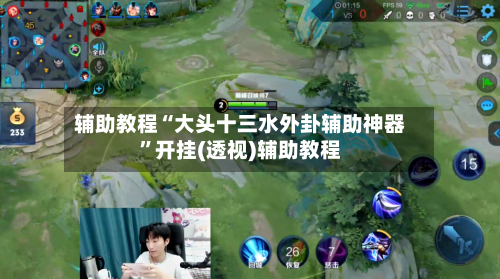 辅助教程“大头十三水外卦辅助神器	”开挂(透视)辅助教程-第3张图片