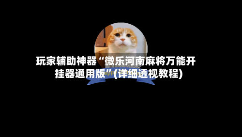 玩家辅助神器“微乐河南麻将万能开挂器通用版”(详细透视教程)