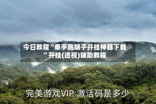 今日教程“牵手跑胡子开挂神器下载”开挂(透视)辅助教程-第3张图片
