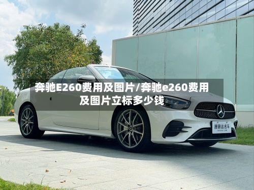 奔驰E260费用及图片/奔驰e260费用及图片立标多少钱