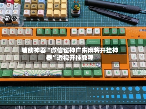 辅助神器“微信雀神广东麻将开挂神器”透视开挂教程