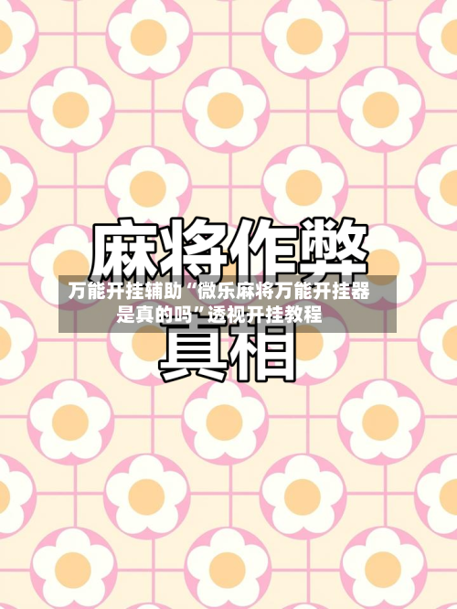 万能开挂辅助“微乐麻将万能开挂器是真的吗	”透视开挂教程-第3张图片