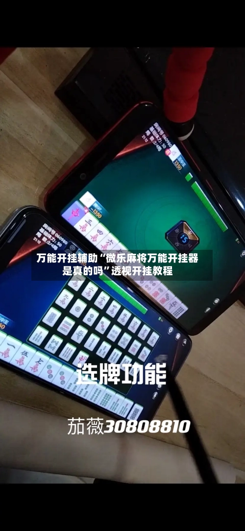 万能开挂辅助“微乐麻将万能开挂器是真的吗”透视开挂教程-第2张图片