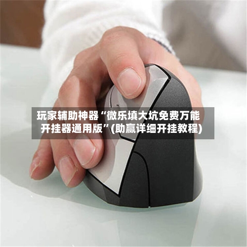 玩家辅助神器“微乐填大坑免费万能开挂器通用版”(助赢详细开挂教程)-第2张图片