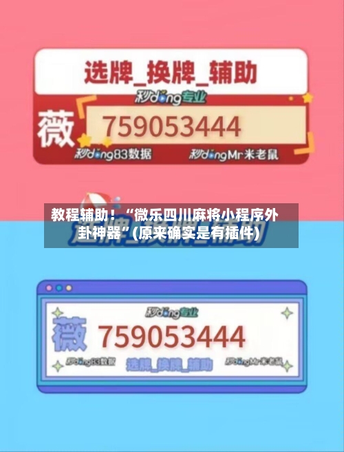 教程辅助！“微乐四川麻将小程序外卦神器”(原来确实是有插件)